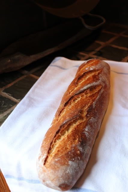 Blue Ribbon French Bread